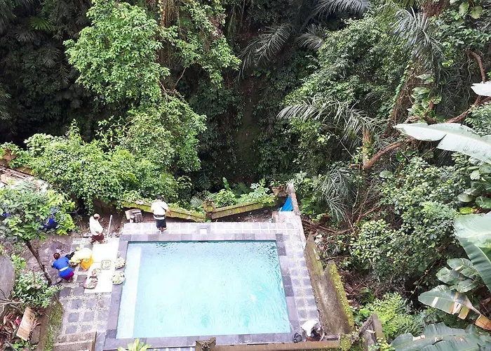 Anggrek Mas