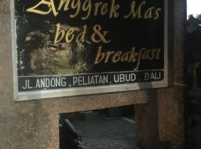 Anggrek Mas Hostal *